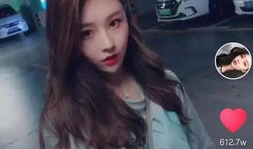 西西性视频,揭秘网络潮流的趣味与魅力